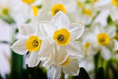 Epic喜加一：《家园：卡拉克沙漠》免费领取